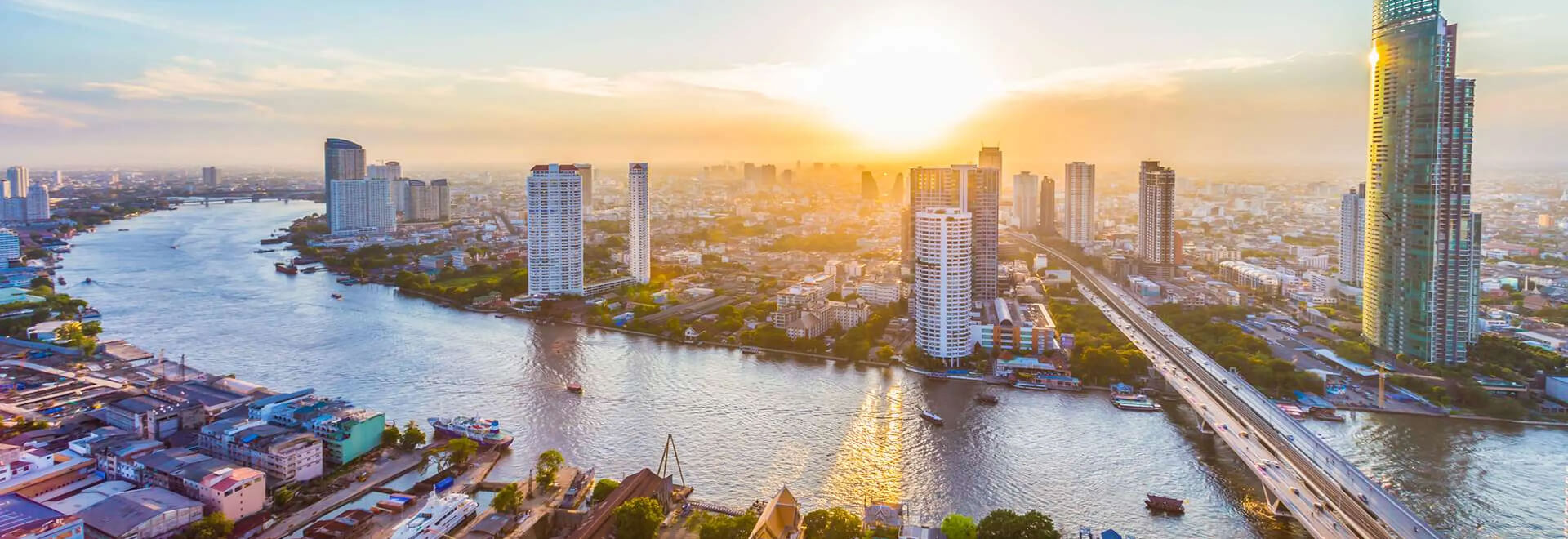 Lĩnh vực hoạt động